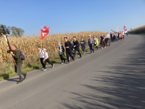 IV Piesza Pielgrzymka Tradycji do Wąwolnicy, 2023 — fotografia 14