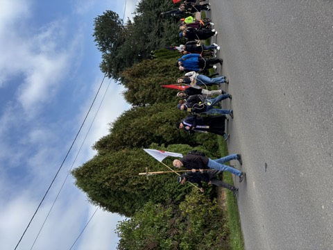 VI Piesza Pielgrzymka Tradycji do Wąwolnicy, 2025 — fotografia 36
