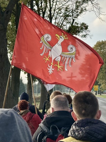 VI Piesza Pielgrzymka Tradycji do Wąwolnicy, 2025 — fotografia 98