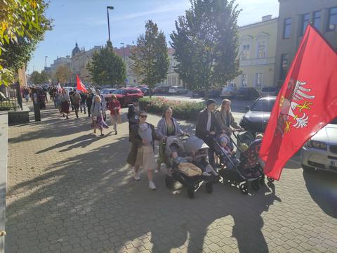 VII Piesza Pielgrzymka Tradycji do Wąwolnicy, 2026 – fotografia 2