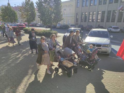 VII Piesza Pielgrzymka Tradycji do Wąwolnicy, 2026 – fotografia 3